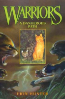 A_dangerous_path